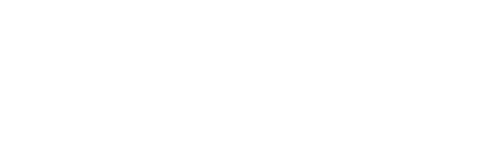 Novo Terra Logo White